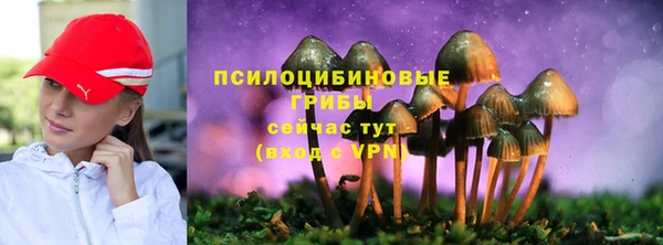 Альфа ПВП Навашино