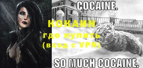 дмт Надым