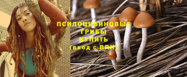 герыч Дмитровск