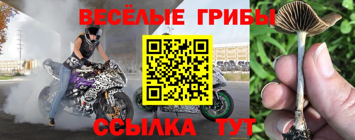 Псилоцибиновые грибы MAGIC MUSHROOMS Нурлат