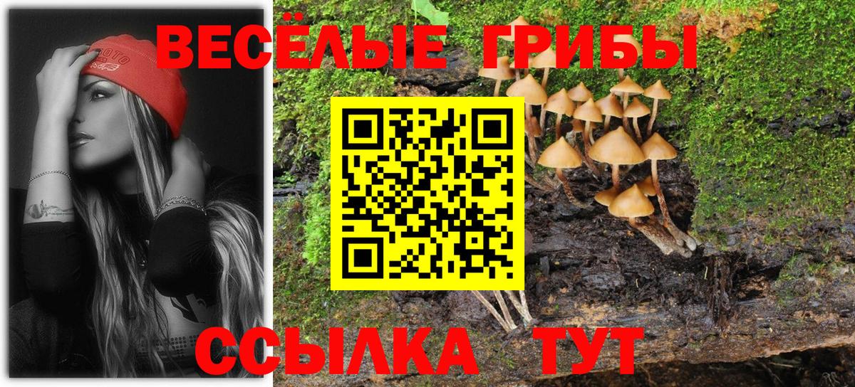 Псилоцибиновые грибы Magic Shrooms  Нурлат 