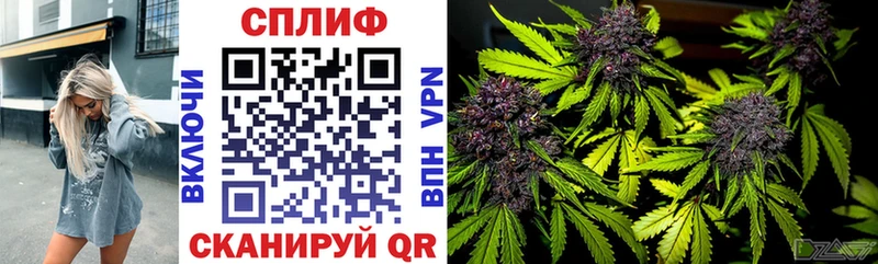 ссылка на мегу вход  Нурлат  Шишки марихуана конопля 